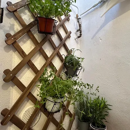 Cri House Apartman Bari